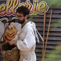 005-Folie Finfarine