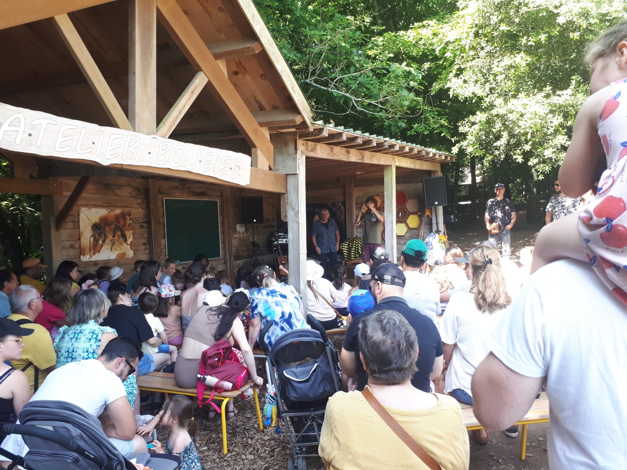 Folie de finfarine 3