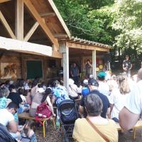 Folie de finfarine 3